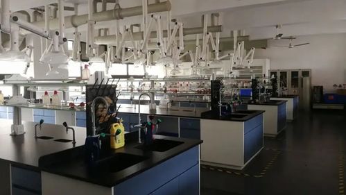 食品工程技術(shù)咨詢(xún) 推動(dòng)食品安全與創(chuàng)新的關(guān)鍵角色